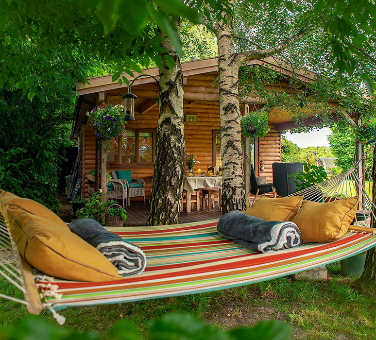 Colby wooden holiday cabin nestled in silver birch trees with a hammock in the foreground